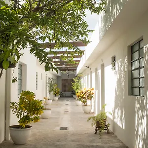 El Tigre De Santiago Hostal Mérida